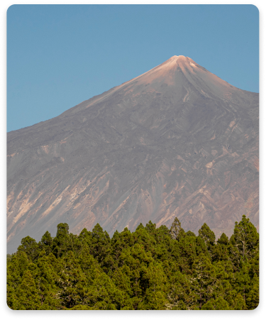 upper-back-physical-therapy-with-tens-electrode-pads-transcutaneous-electrical-nerve-stimulation 3